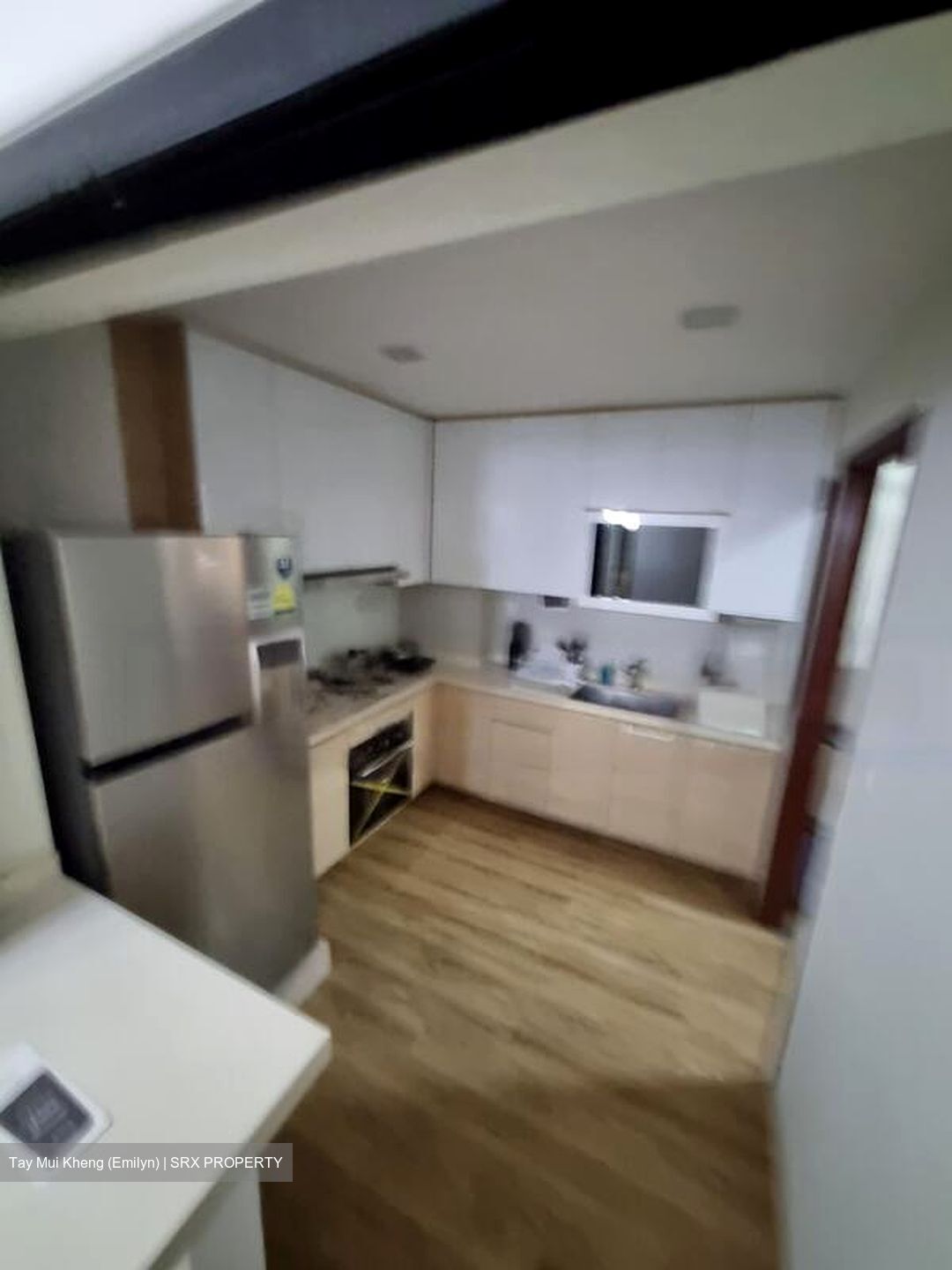 Dover Parkview (D5), Condominium #498736491